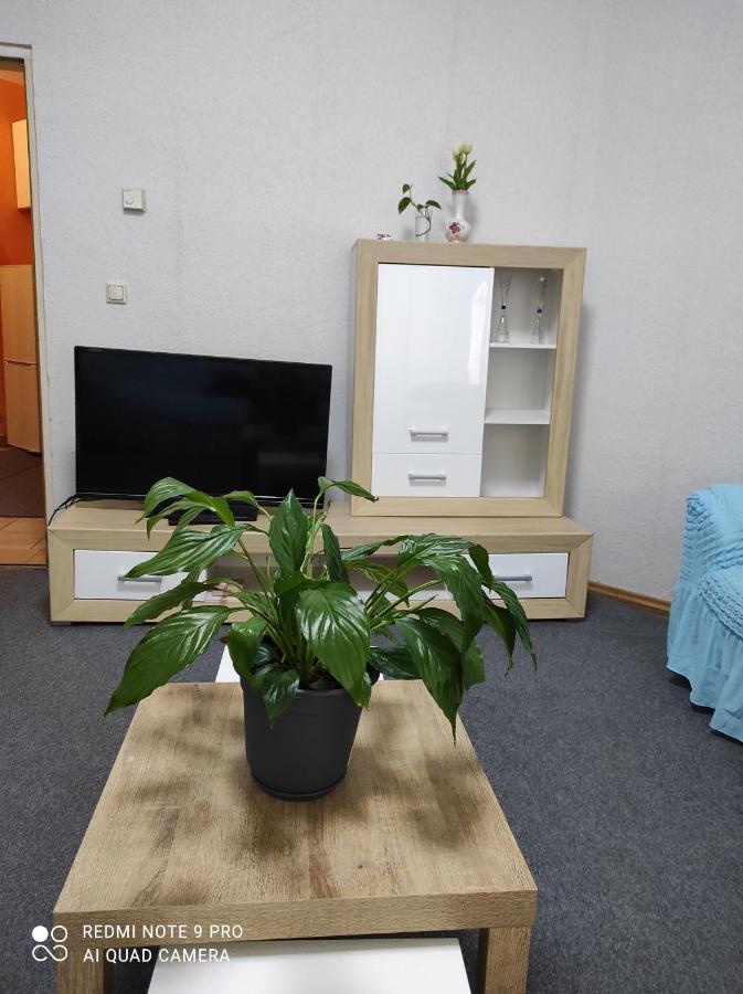 Rose Vienna Malfatigasse Apartment Bagian luar foto